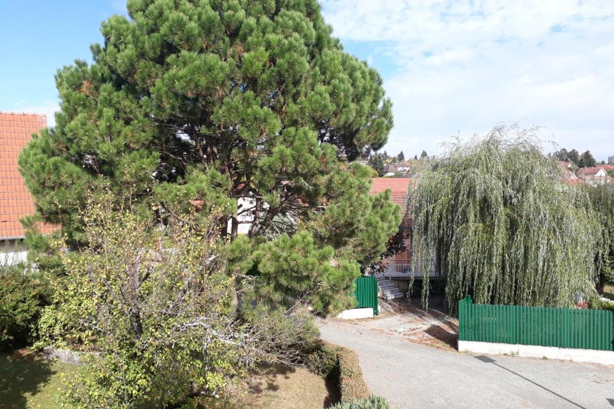 Appartement Independant A Proximite De Belfort Essert 외부 사진